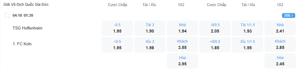 nhan-dinh-soi-keo-hoffenheim-vs-cologne-luc-01h30-ngay-4-10-2025-2